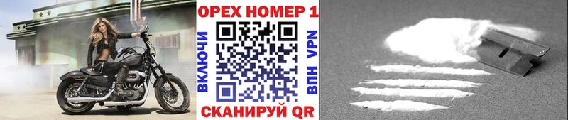 даркнет состав  Шлиссельбург  COCAIN Эквадор  mega ссылка 