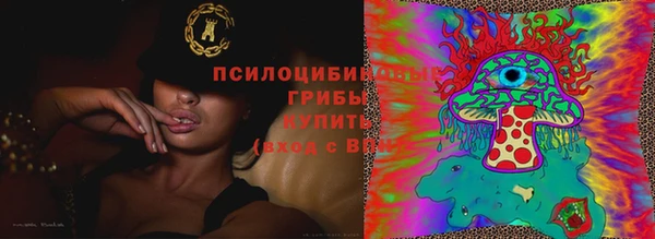 мдпв Михайловск