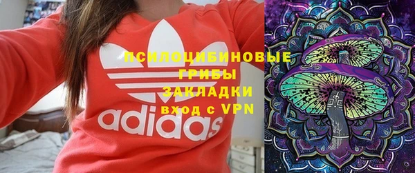 дмт Мегион